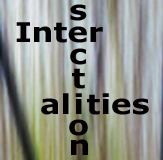thumbnail image of journal title Intersectionalities